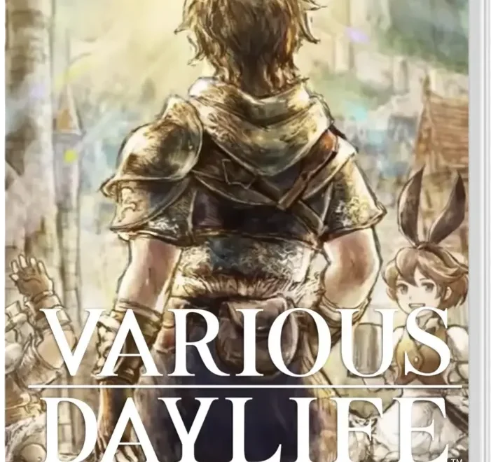 various-daylife-physical-retail-release-asia-english-multi-language-nintendo-switch-cover-www.limitedgamenews.com