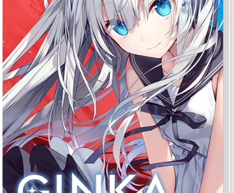 ginka-physical-retail-release-asia-english-multi-language-import-nintendo-switch-cover-www.limitedgamenews.com