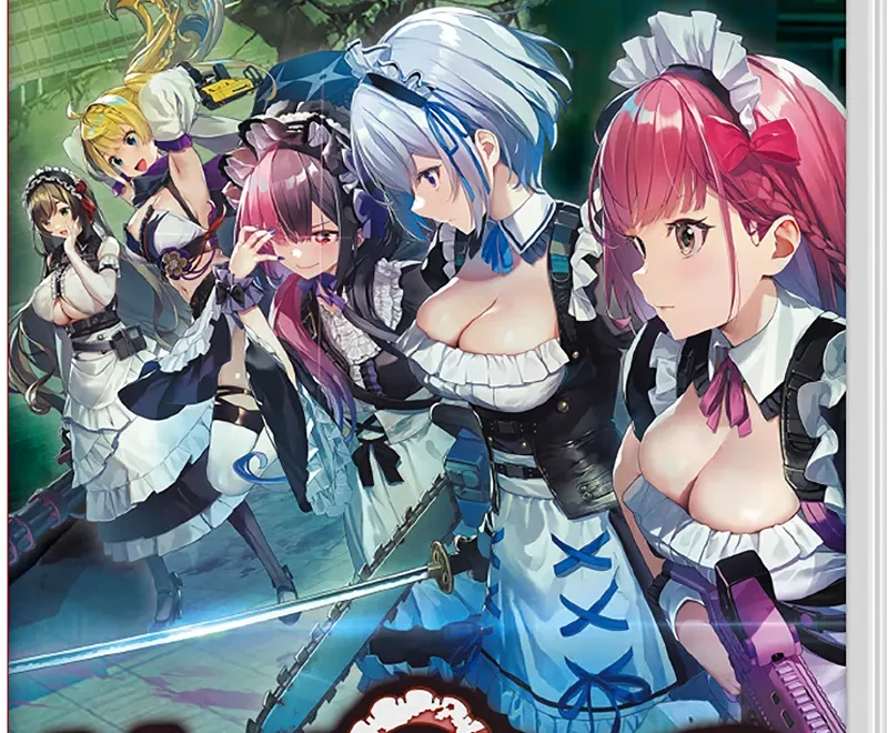 maid-of-the-dead-physical-asia-english-retail-release-import-nintendo-switch-cover-www.limitedgamenews.com