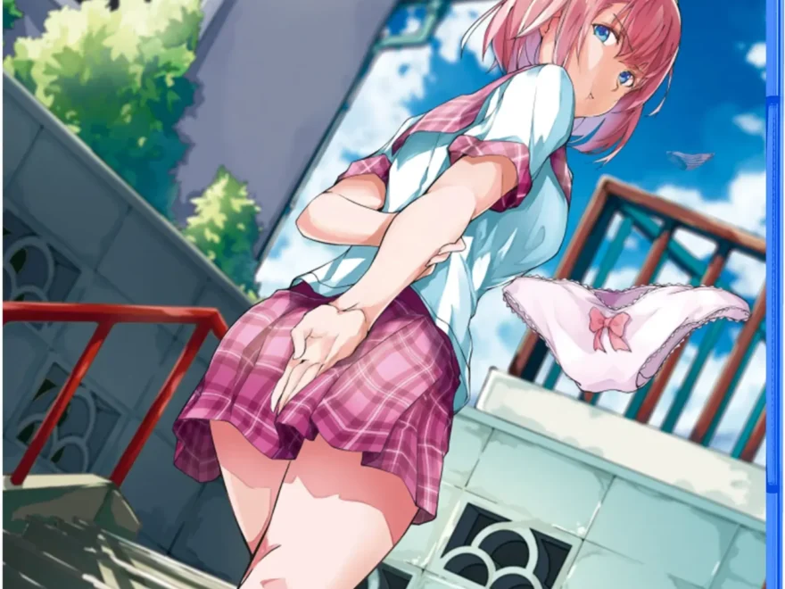 panty-party-perfect-asia-english-multi-language-physical-retail-release-playstaton-5-cover-www.limitedgamenews.com